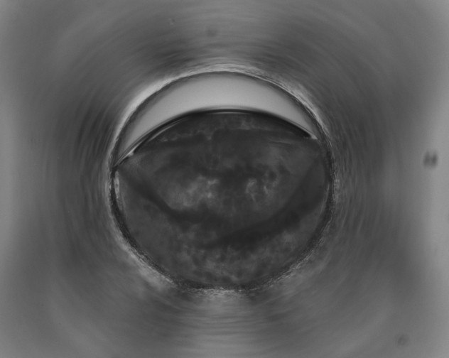 X0000090911024200707301429