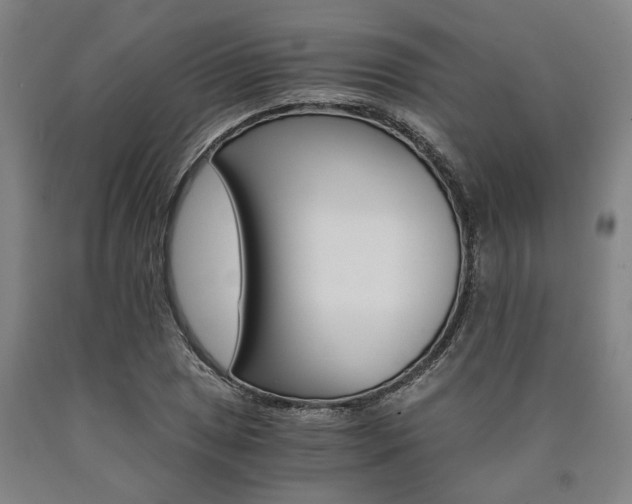 X0000090911025200707301429
