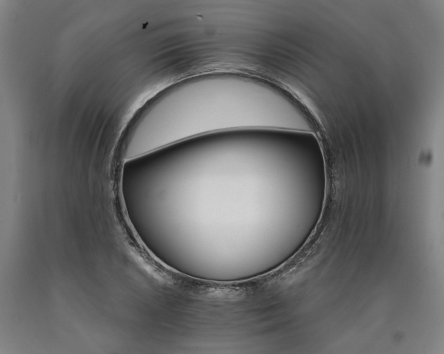 X0000090911026200707301429