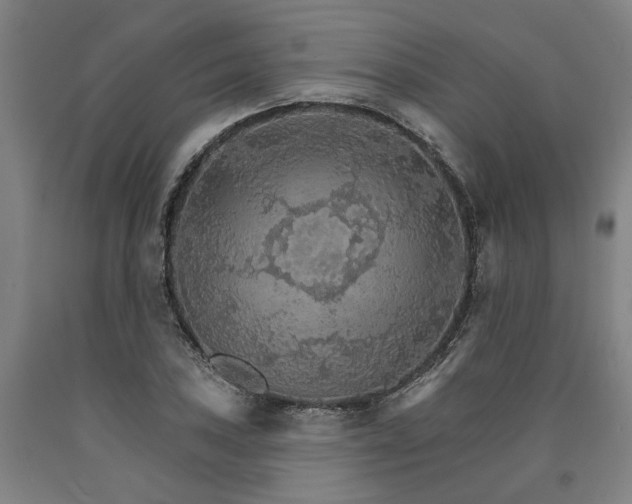 X0000090911027200707301429