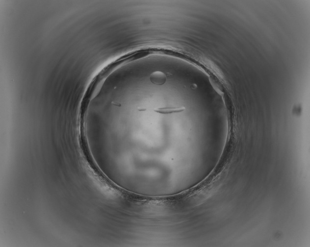 X0000090911028200707301429