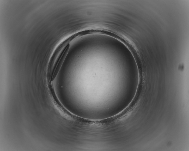 X0000090911029200707301429
