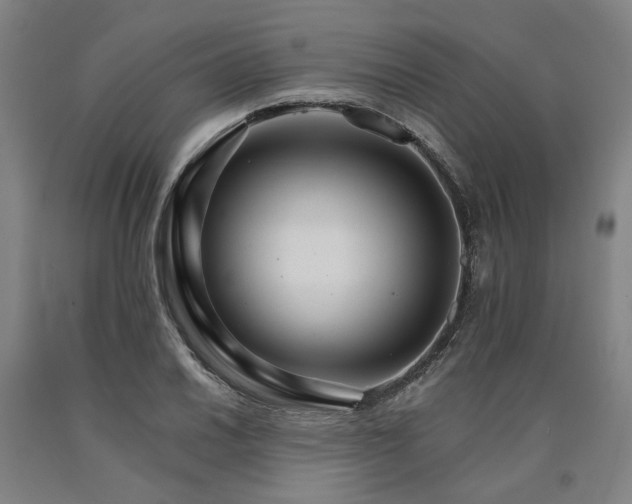 X0000090911030200707301429