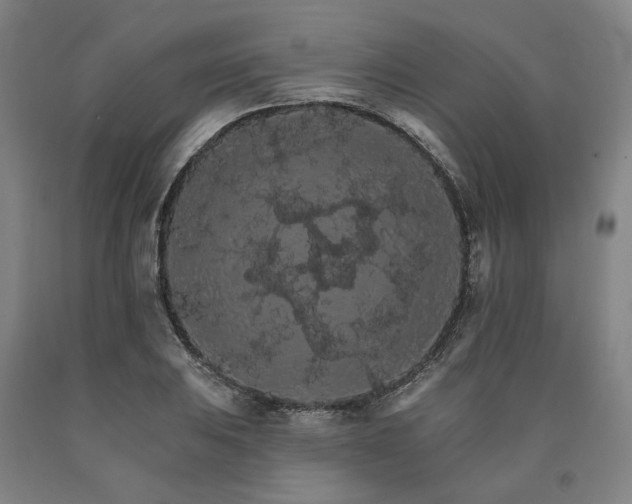X0000090911031200707301429