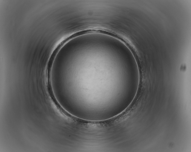 X0000090911032200707301429