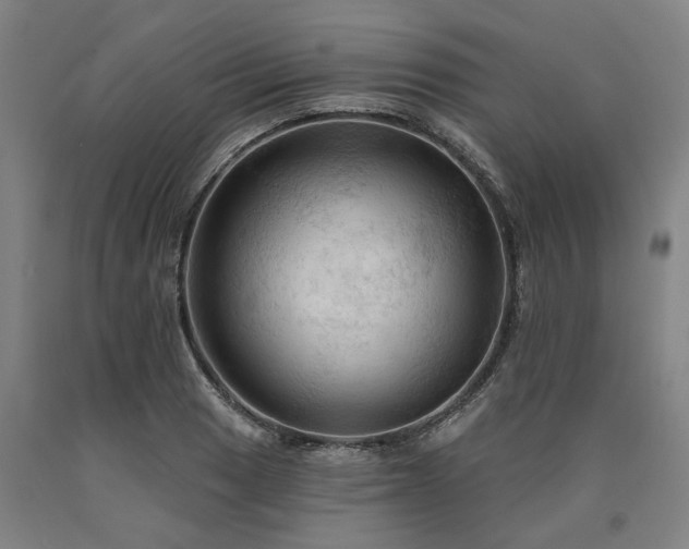 X0000090911033200707301430