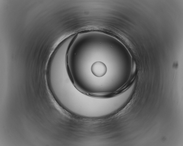 X0000090911034200707301430