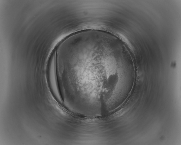 X0000090911035200707301430