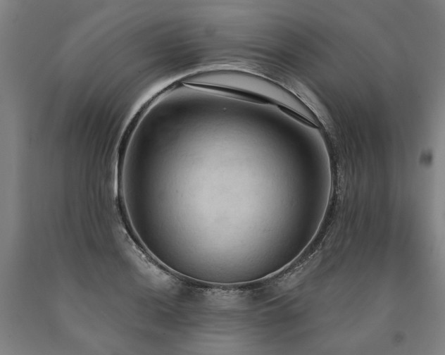 X0000090911036200707301430