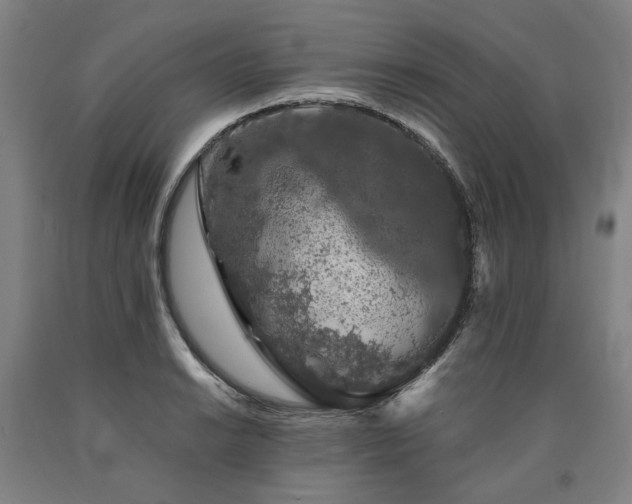 X0000090911038200707301430