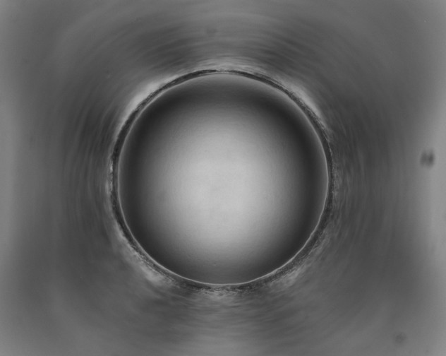 X0000090911040200707301430