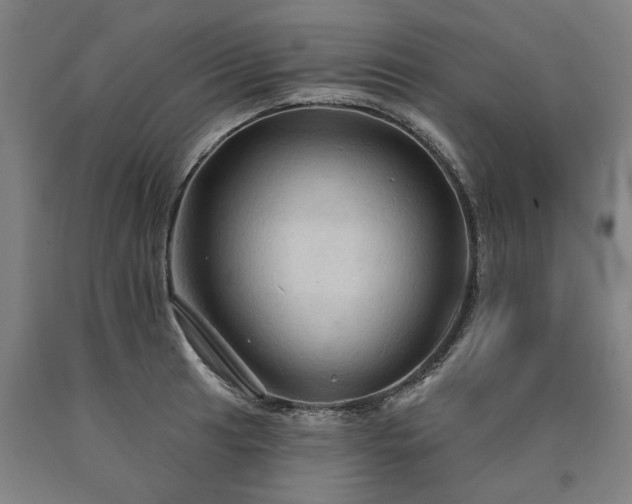 X0000090911041200707301430