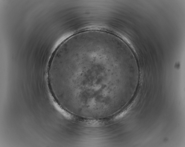 X0000090911042200707301430