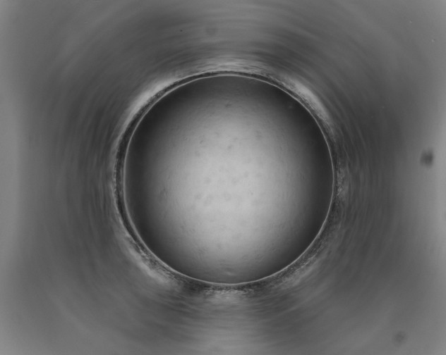 X0000090911043200707301430