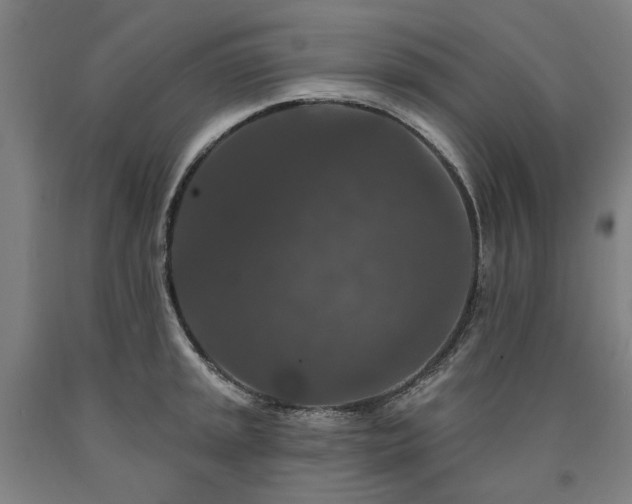 X0000090911045200707301430