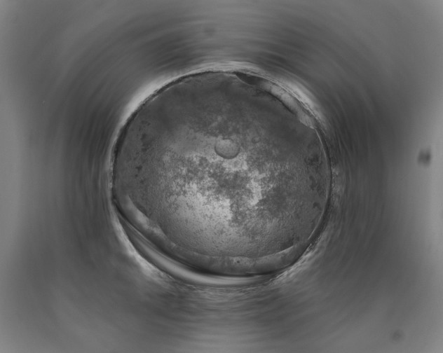 X0000090911046200707301430