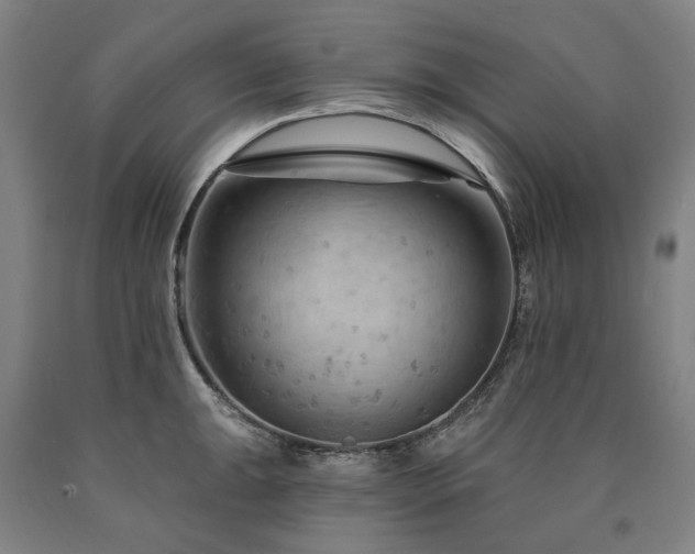 X0000090911047200707301430