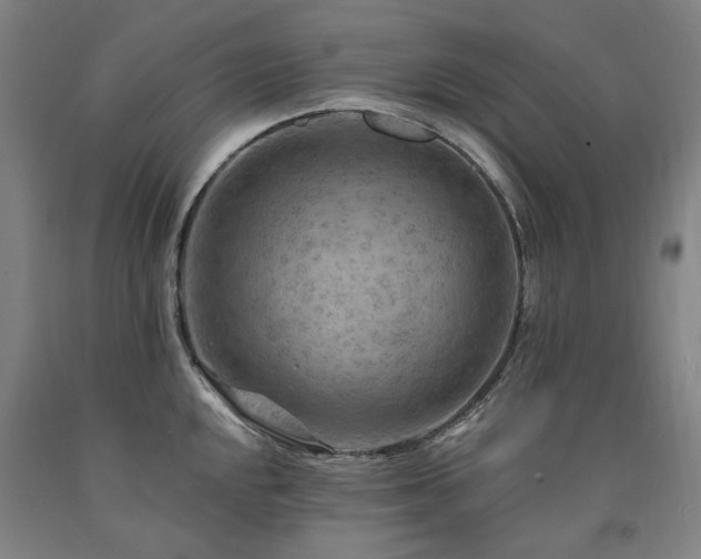 X0000090911048200707301430