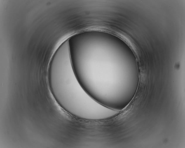 X0000090911050200707301430