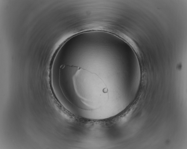 X0000090911051200707301430