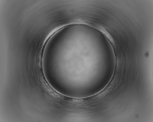 X0000090911052200707301430