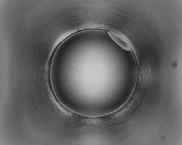 X0000090911053200707301430