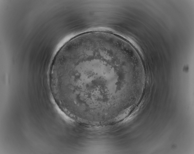 X0000090911054200707301430