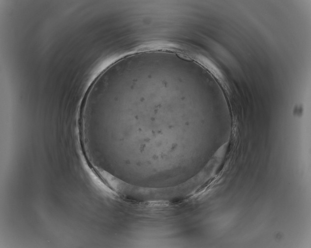 X0000090911055200707301430