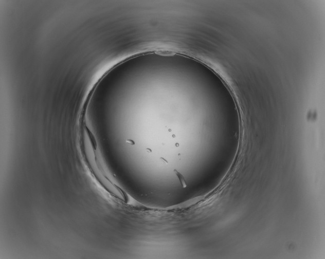 X0000090911056200707301430