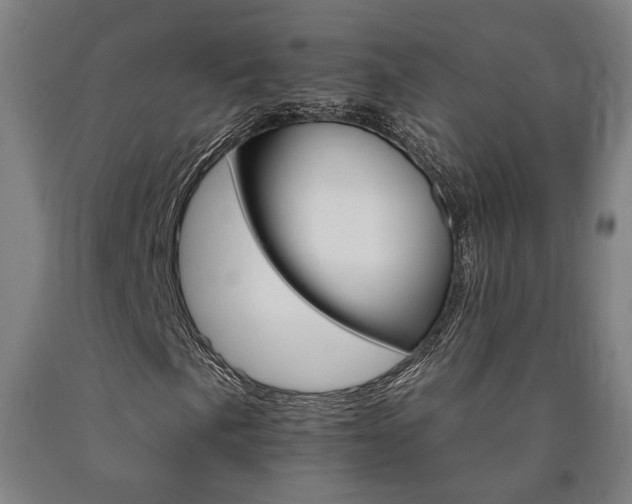 X0000090911057200707301429