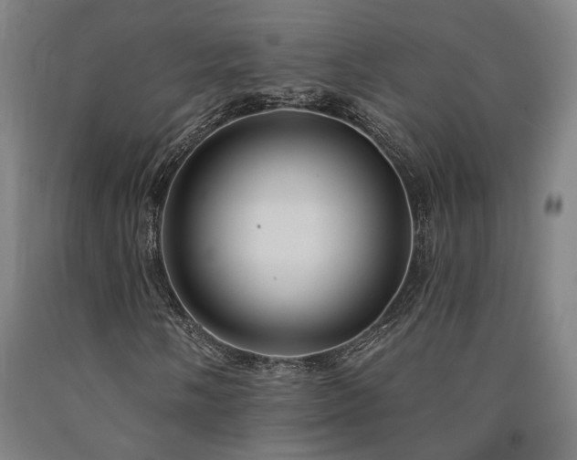 X0000090911058200707301429