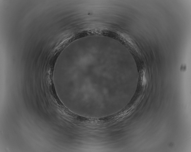 X0000090911060200707301429