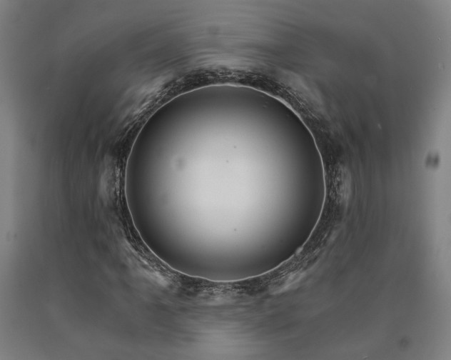 X0000090911061200707301429