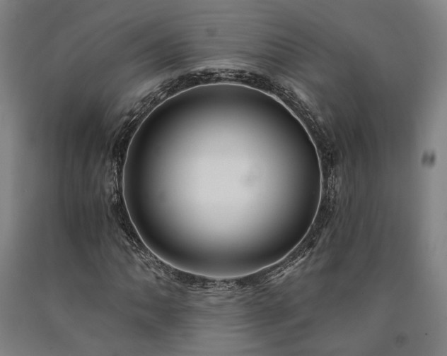 X0000090911062200707301429