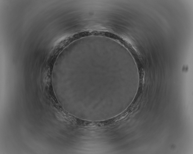 X0000090911063200707301429