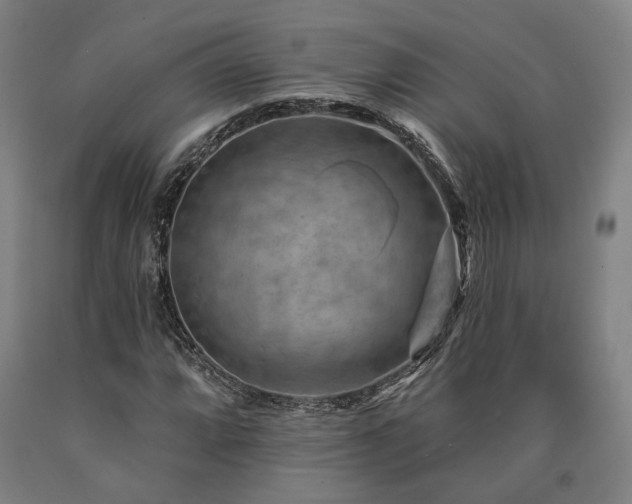 X0000090911064200707301429