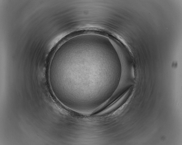 X0000090911066200707301429
