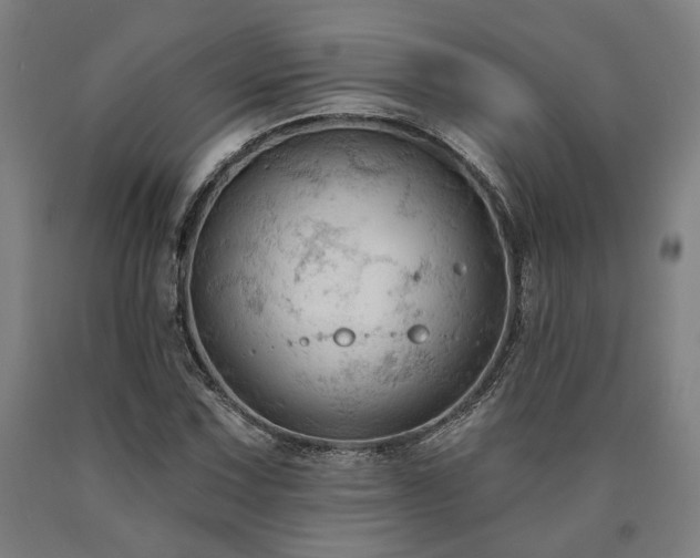 X0000090911067200707301429