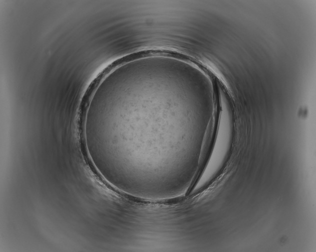 X0000090911068200707301429