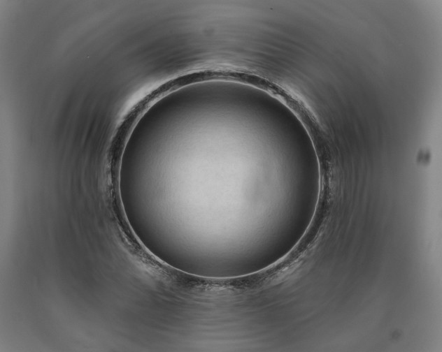 X0000090911070200707301429