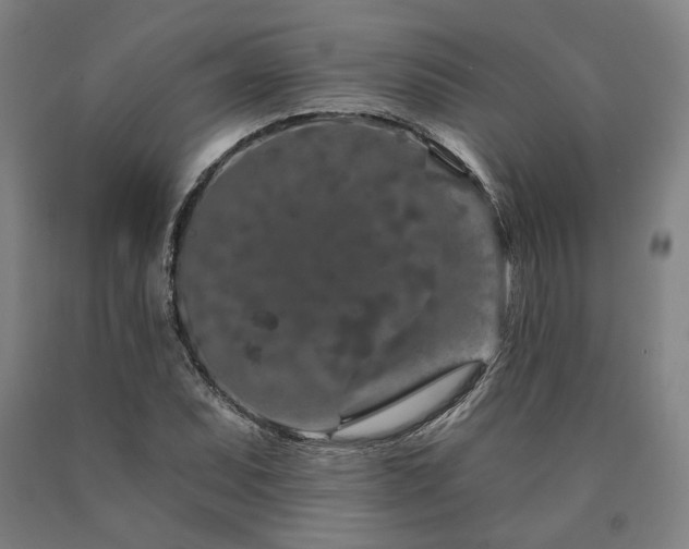 X0000090911071200707301429