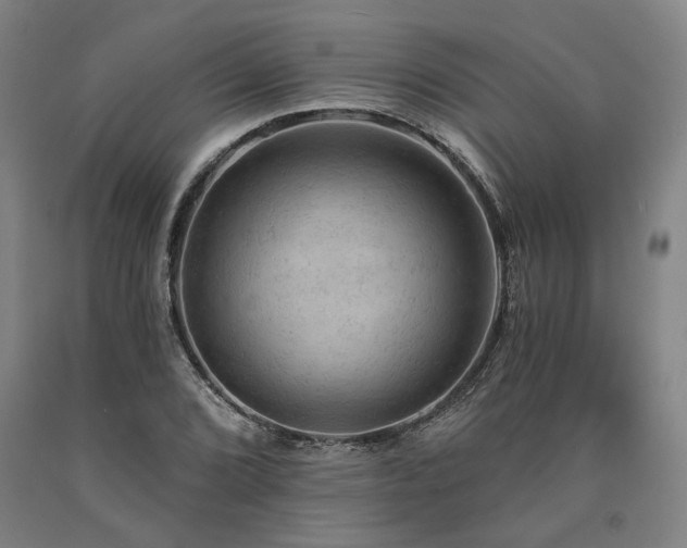 X0000090911072200707301429