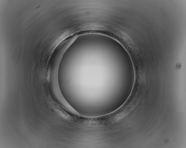 X0000090911073200707301429