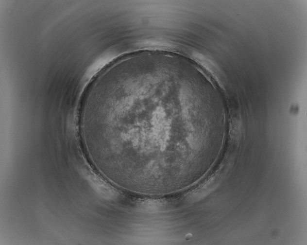 X0000090911074200707301429