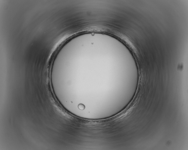 X0000090911075200707301429