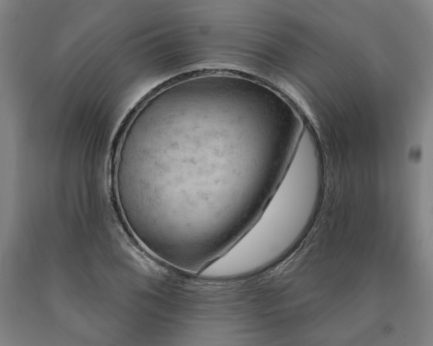 X0000090911076200707301429