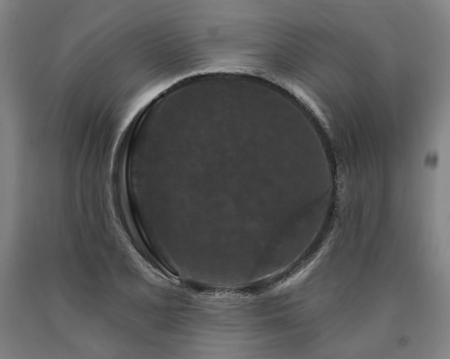X0000090911077200707301429