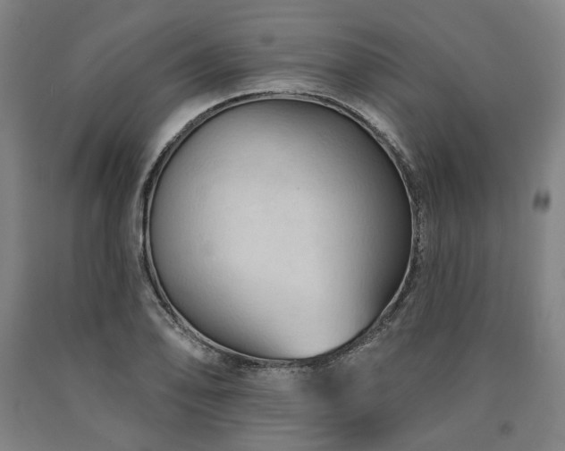 X0000090911078200707301429