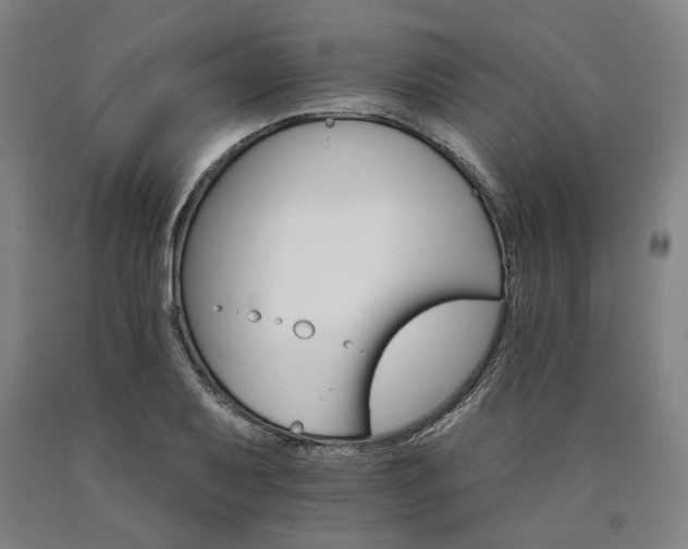 X0000090911079200707301429