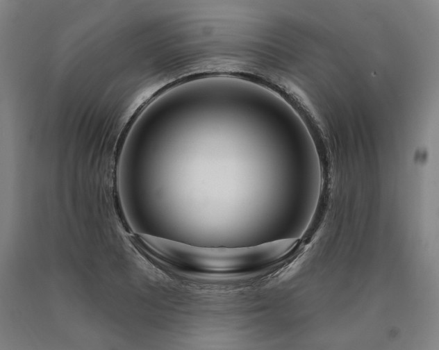 X0000090911081200707301429